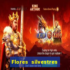 Flores silvestres brasileiras 25